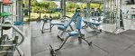 Free Weights and Weight Machines
